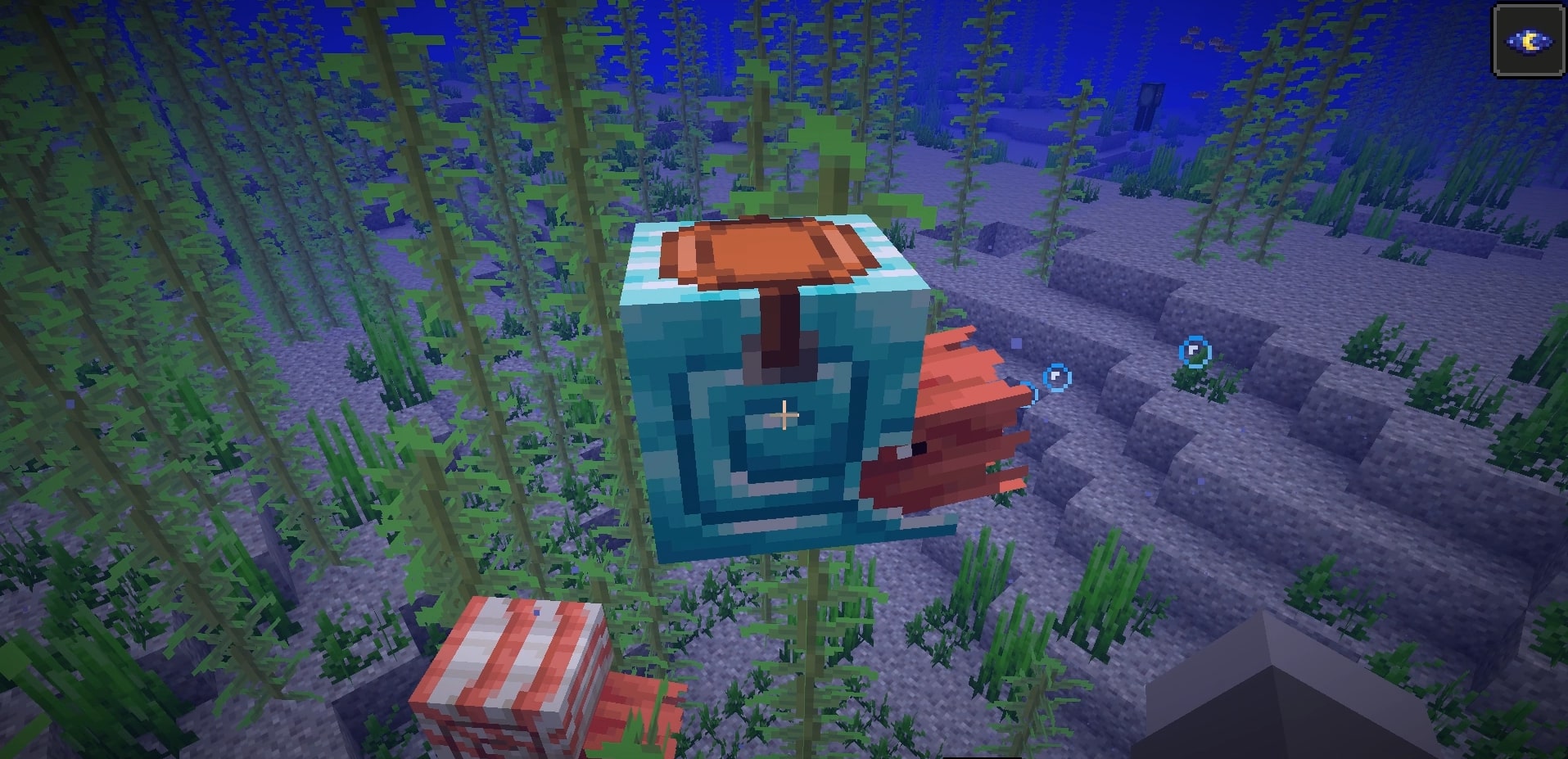 Minecraft Nautilus Shell Guide(Spawn, Armor, Abilities)